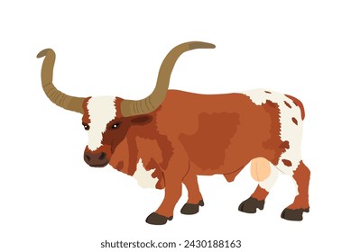 Bull long horn cattle vector illustration isolated on white background. Longhorn Texas bull symbol. Powerful animal. Farm herbivore.