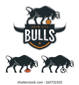 Bull mascot for sport teams