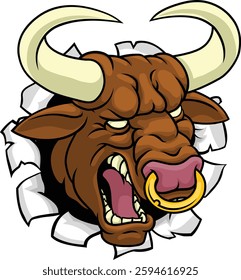 A bull or Minotaur monster longhorn cow angry mean head mascot face cartoon. Tearing through the background. With a ring through their nose.