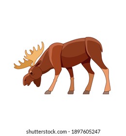 Bull moose grazing in the wild forest. Wildlife scene with elk. Cartoon character vector flat illustration isolated on white background.