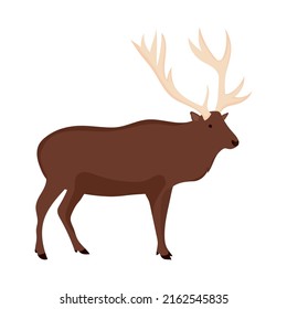 bull moose icon on white background