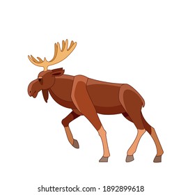 Bull moose walking. Wildlife scene. Cartoon character vector flat illustration isolated on a white background. 