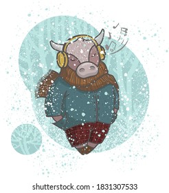 Bull music lover listens to music in a snowy winter