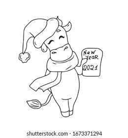 Bull New year 2021 in a hat and scarf with a postcard.Vector design, illustration on a white isolated background, coloring.Holiday