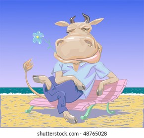 a bull on the beach