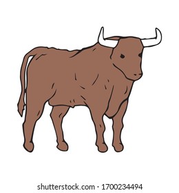 Bull on a farm, hand drawn single illustration. Domestic cattle animal standing, vector original drawing. Mammal with horns isolated graphic decoration. Taurus zodiac and horoscope logo symbol.