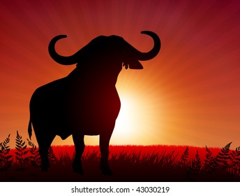 bull on sunset background Original Vector Illustration