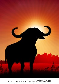 bull on sunset background with skyline Original Vector Illustration