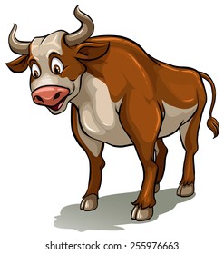 Toro sobre fondo blanco
