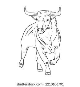 Bull Outline Vector Illustration. Isolated On White Background.