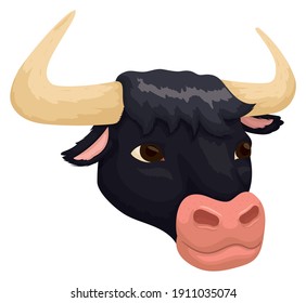 Bull or ox head with black hide, isolated over white background.