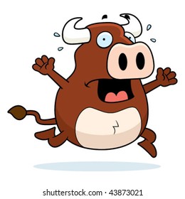 Bull Panic