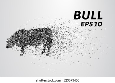 Bull of particles. The bull consists of circles and points. Vector illustration.