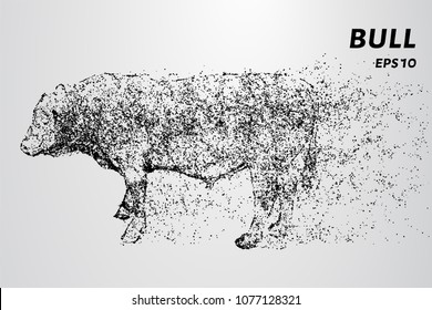 Bull from of particles. The bull consists of dots and circles