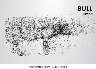 Bull from of particles. The bull consists of dots and circles