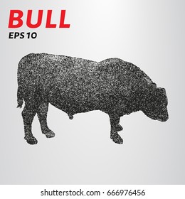 Bull point. Vector drawing of a bull consists of circles
