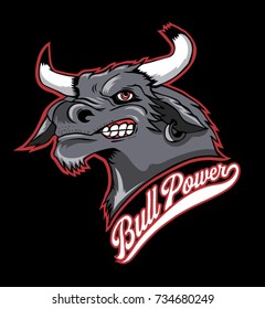 Bull power.Rodeo drive.North America.
