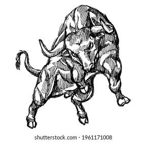 Bull Rage Front View, Hand Drawn Shaded Illustration