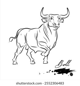 Bull, realistic animal sketch, vector illustration
