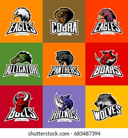 Bull, rhino, wolf, eagle, cobra, alligator, panther, boar head isolated vector logo concept. Modern badge mascot design. Premium quality wild animal, bird, reptile t-shirt tee print illustration.