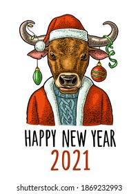 Bull Santa Claus. Vintage color engraving illustration for poster. Isolated on white background. Happy New Year 2021 lettering.