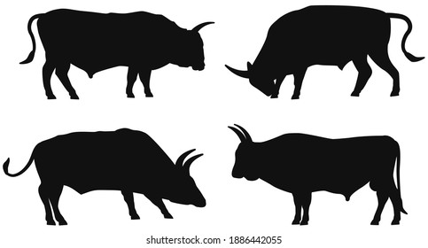 Bull. Set of vector silhouettes isolated on white background. Black outlines of animals. Template for butcher shops and farm logo. Cows and bulls are cattle animals, which bred for meat and milk.