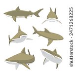 Bull Shark Cartoon Character Poses