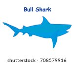 Bull shark fish vector cartoon illustration, t shirt design for kids with aquatic animal theme isolated on white background wallpaper