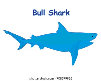 Bull shark fish vector cartoon illustration, t shirt design for kids with aquatic animal theme isolated on white background wallpaper