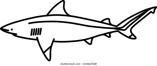 Bull Shark Icon