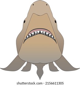 Bull Shark With Opened Mouth In Attack Position And Sharp Teeth