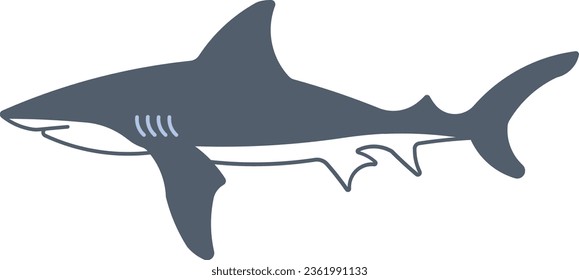 Bull shark shark predator sea ocean