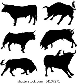 Bull silhouette