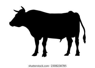 Bull silhouette isolated on white background. vector illustration