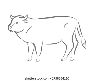 Bull sketch, outline style. 2021 symbol. Minimalistic design. Vector.