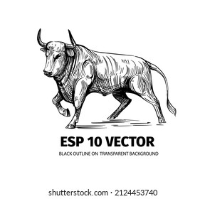 Bull sketch. Vector illustration black outline on transparent background