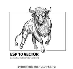 Bull sketch. Vector illustration black outline on transparent background