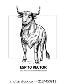 Bull Sketch. Vector Illustration Black Outline On Transparent Background