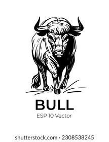 Bull sketch. Vector illustration black outline on transparent background