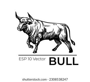 Bull sketch. Vector illustration black outline on transparent background