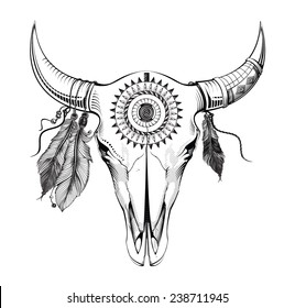 Bull skull 