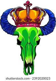 Bull skull. Buffalo head vector illustration isolated on white. Animal skull with horns.