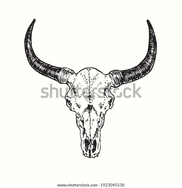 10,890 Skull Horns Cow Images, Stock Photos & Vectors | Shutterstock