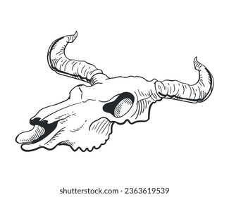 bull skull hand drawn isolated icon vector