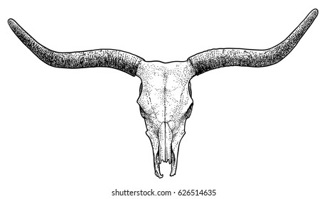 9,085 Cattle skull Images, Stock Photos & Vectors | Shutterstock