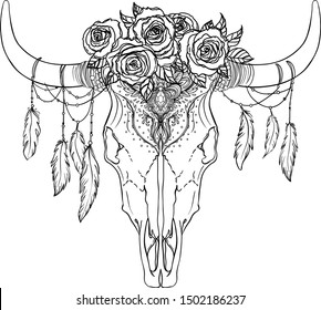 Bull skull with rose flowers and feathers hanging from the horns. Isolated vector illustration. Can be tattoo flash, tote bag print, sticker and more. Boho design, poster, t-shirt textile. 