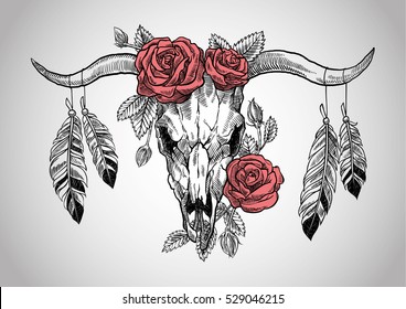 bull skull with roses on her head, and with feathers hanging from the horns. Graphic illustration technique, linework