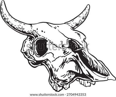 Bull Skull Side View With Horns Vintage Western Illustration