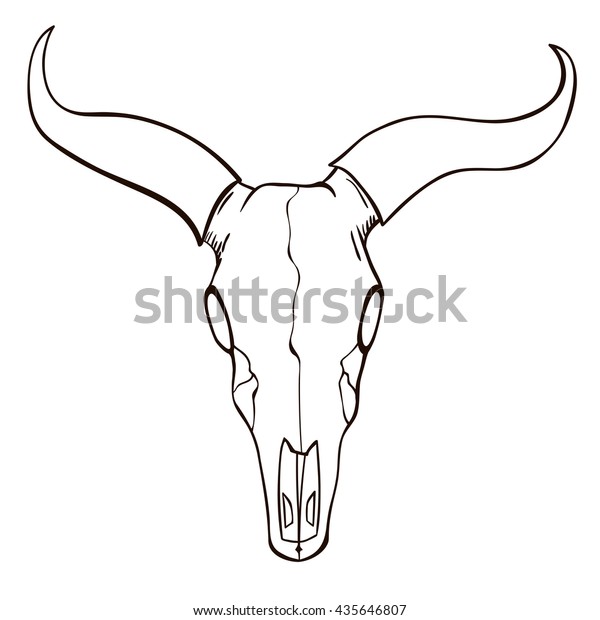  Bull Skull Sketch Stock Vector Royalty Free 435646807