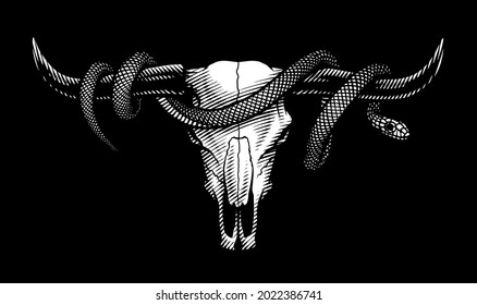 Bull skull and snake. T-shirt print design.